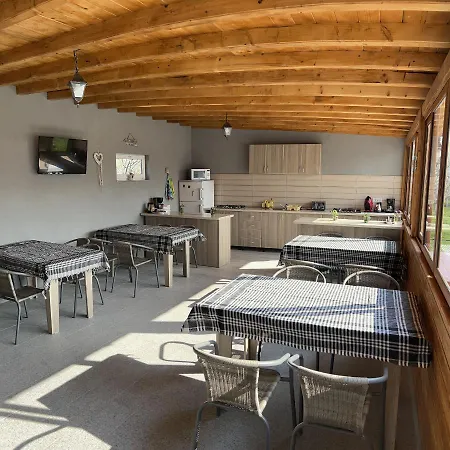 Pensionat Palade 3*